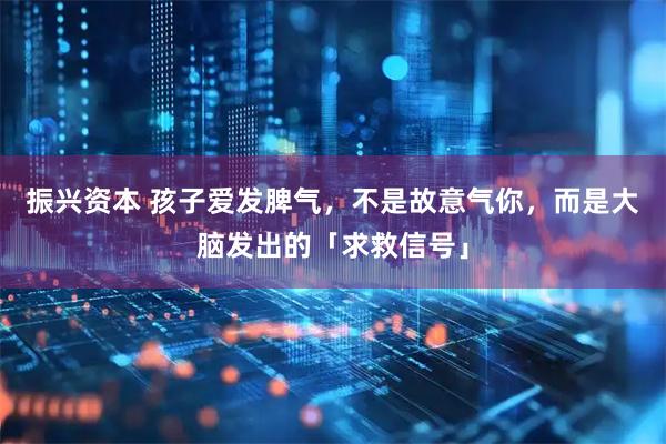 振兴资本 孩子爱发脾气，不是故意气你，而是大脑发出的「求救信号」