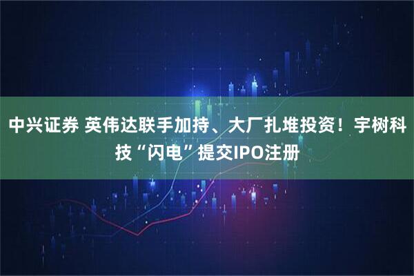 中兴证券 英伟达联手加持、大厂扎堆投资！宇树科技“闪电”提交IPO注册