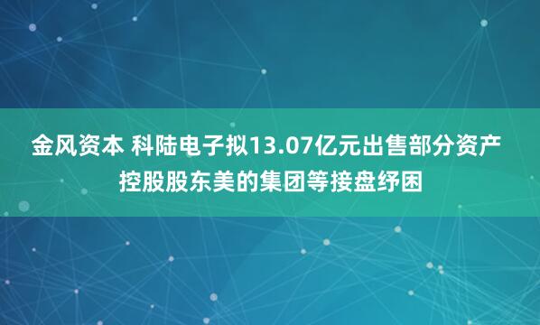 金风资本 科陆电子拟13.07亿元出售部分资产 控股股东美的集团等接盘纾困