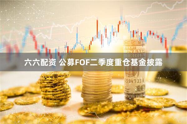 六六配资 公募FOF二季度重仓基金披露