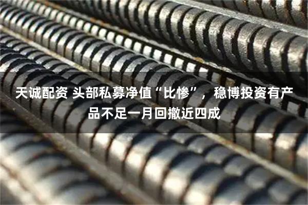 天诚配资 头部私募净值“比惨”，稳博投资有产品不足一月回撤近四成